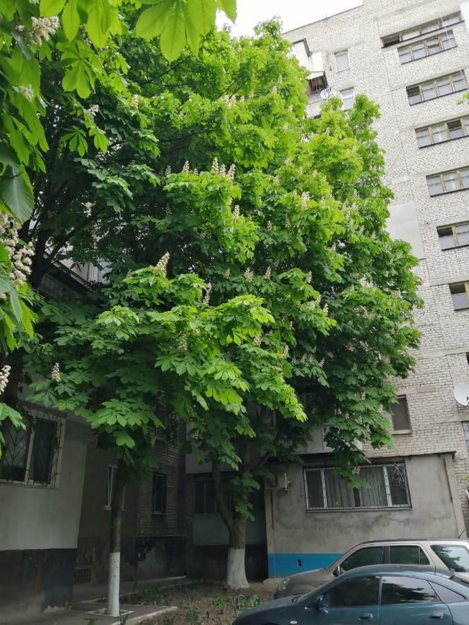 Apartments near the sea オデッサ エクステリア 写真